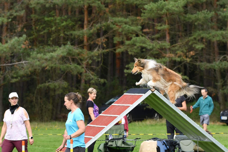 Agility závody Mrtník